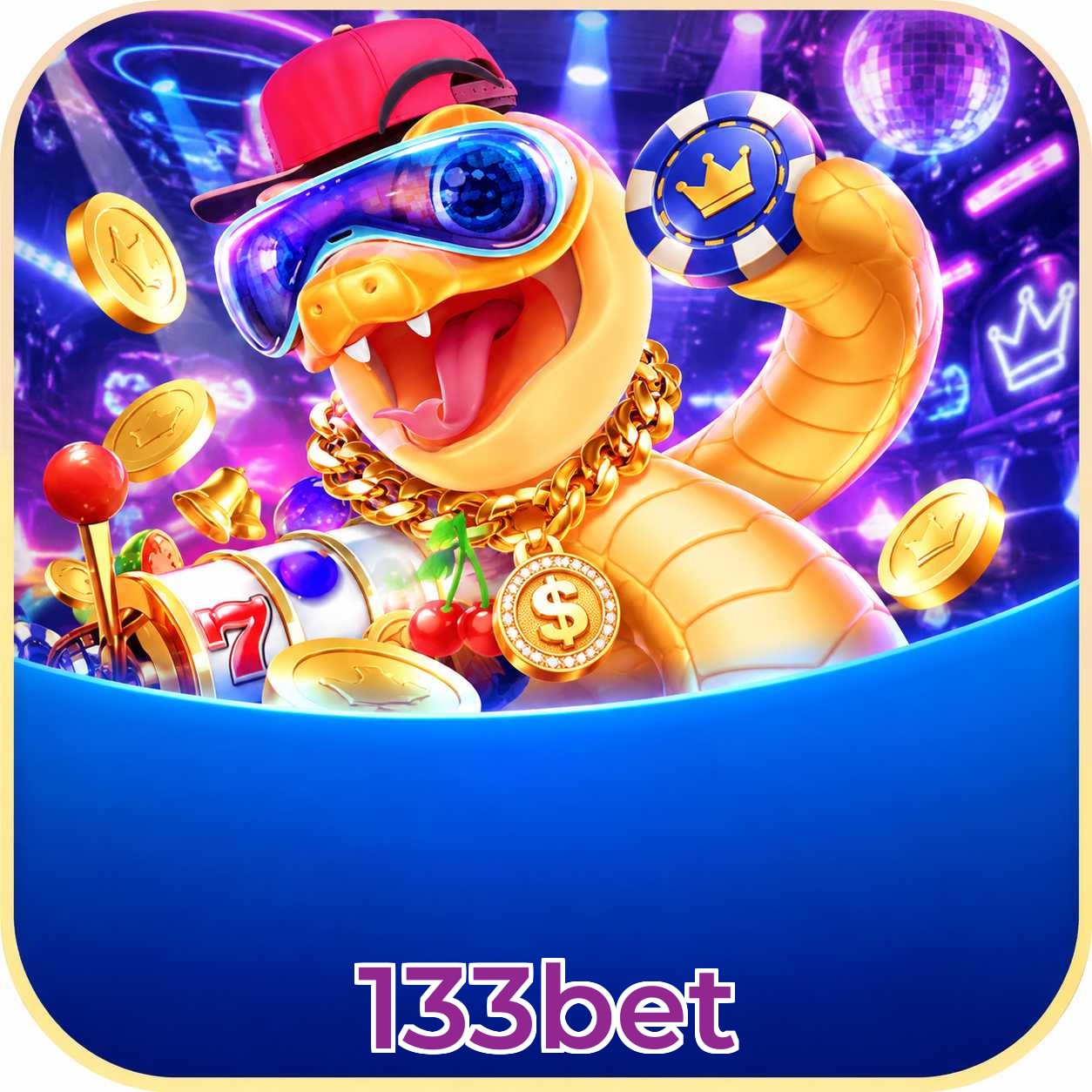 133bet VIP FAQ